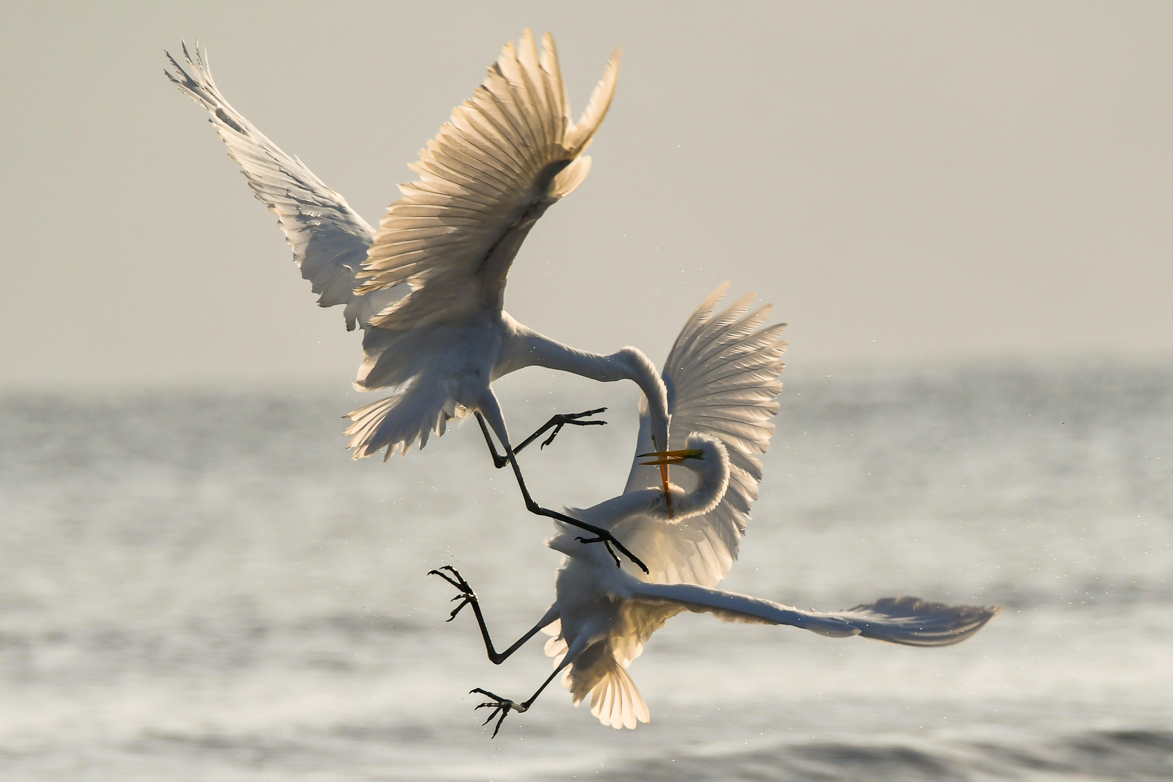 Why Healthy Conflict Can Change Your Family More Than Avoiding It Ever Will