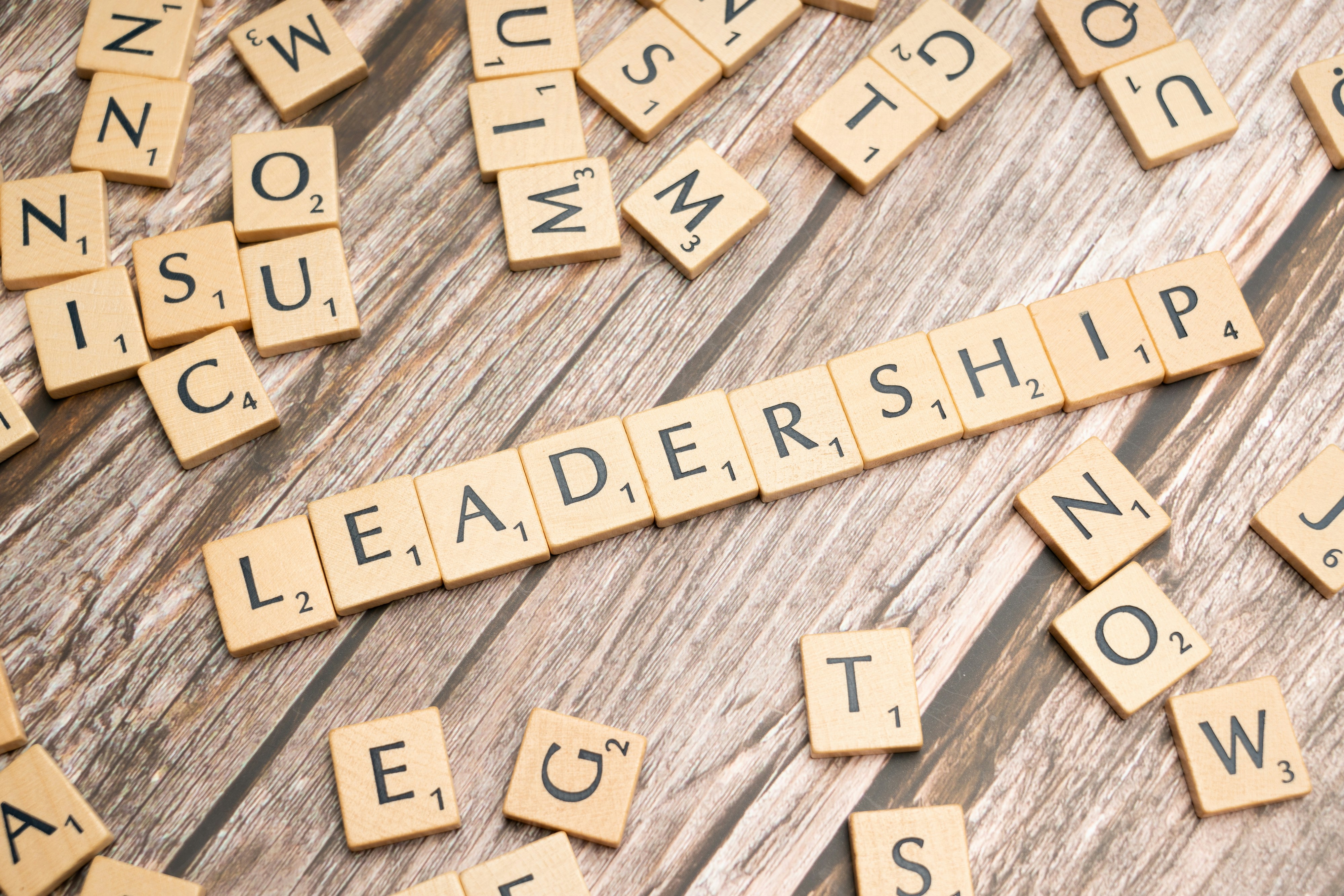 Leaders at All Levels