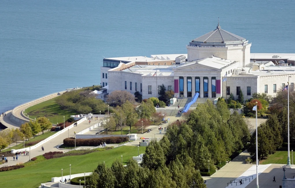 Shedd Aquarium – Dive Into an Unforgettable Adventure in Chicago, IL (Chicago Adventure Rentals, Chicago, IL)