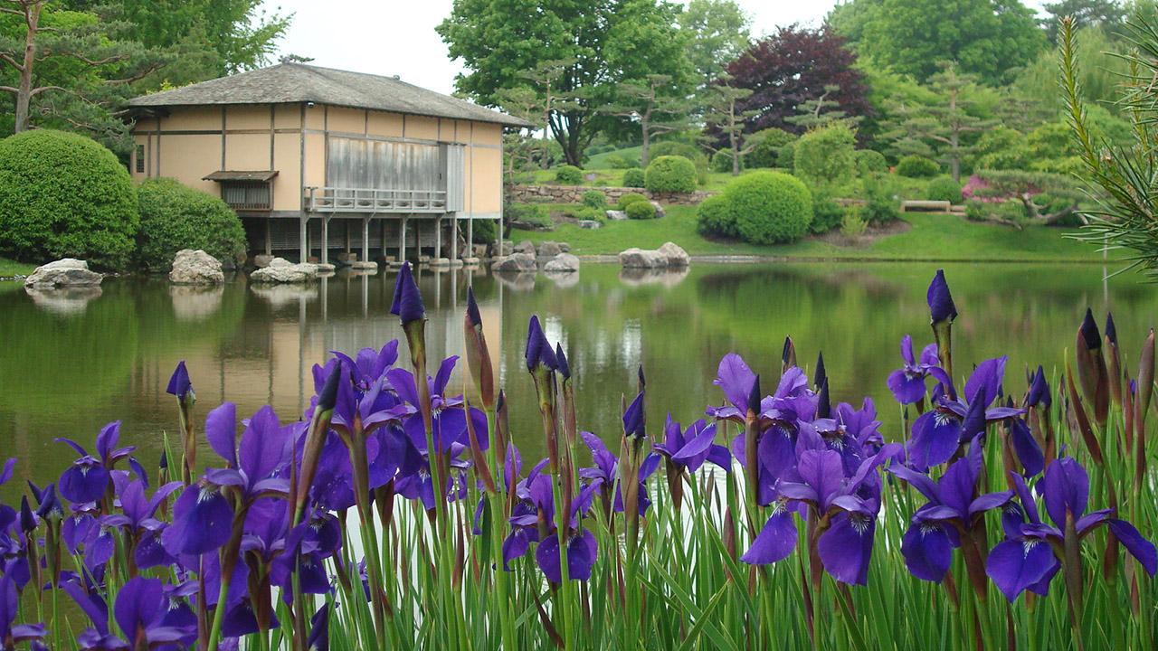 Chicago Botanic Garden in Chicago – A Peaceful Escape Full of Color and Beauty