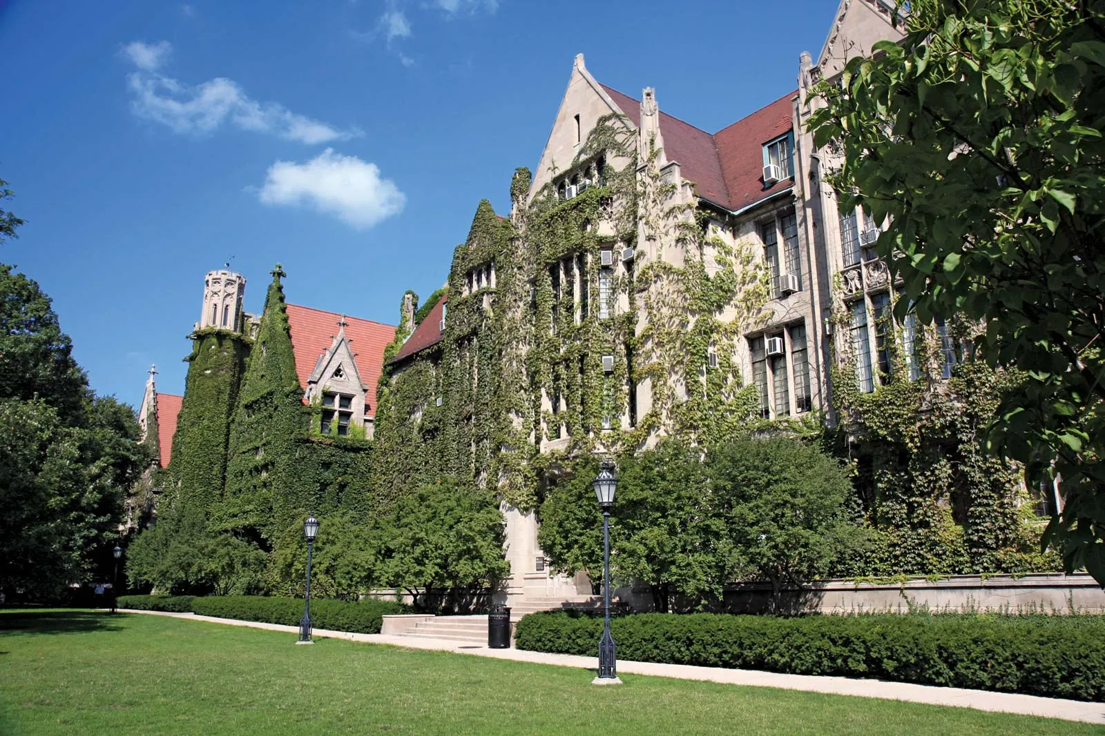 🎓 University of Chicago – Discover One of Chicago’s Most Iconic Campuses!
