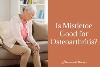 Is Mistletoe Good for Osteoarthritis?