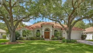Pressure Washing in Julington Creek: What the Tree Cover Does