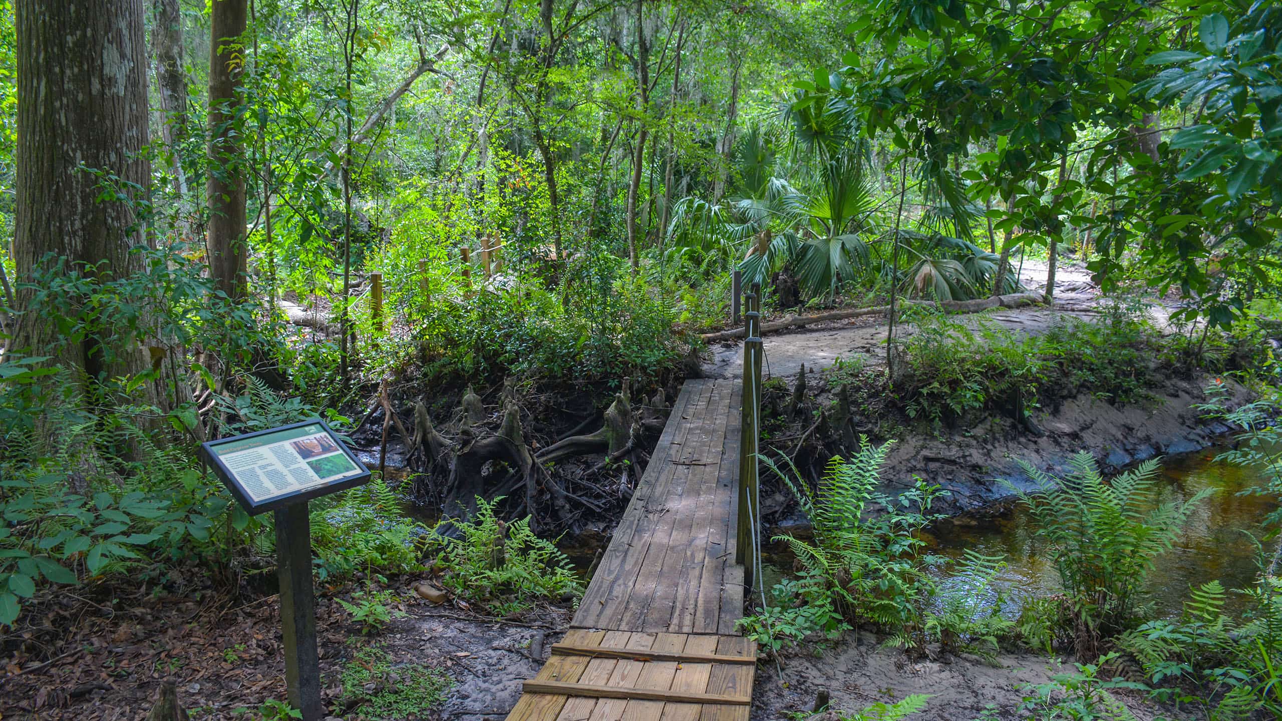 Explore the UNF Nature Trails Adventure – RevTek Rentals - Jacksonville, FL