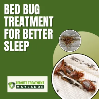 Bed Bug Treatment for Peaceful and Bite-Free Sleep