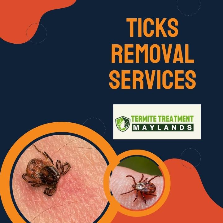 Ticks Removal Services for Better Lawn and Pet Care