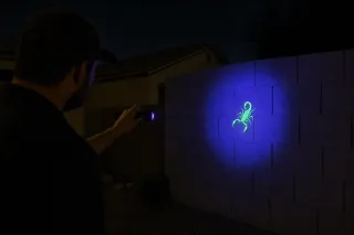 Scorpions in Vail AZ