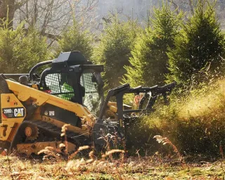 Forestry Mulching Near Escambia County, FL | Storm Prep