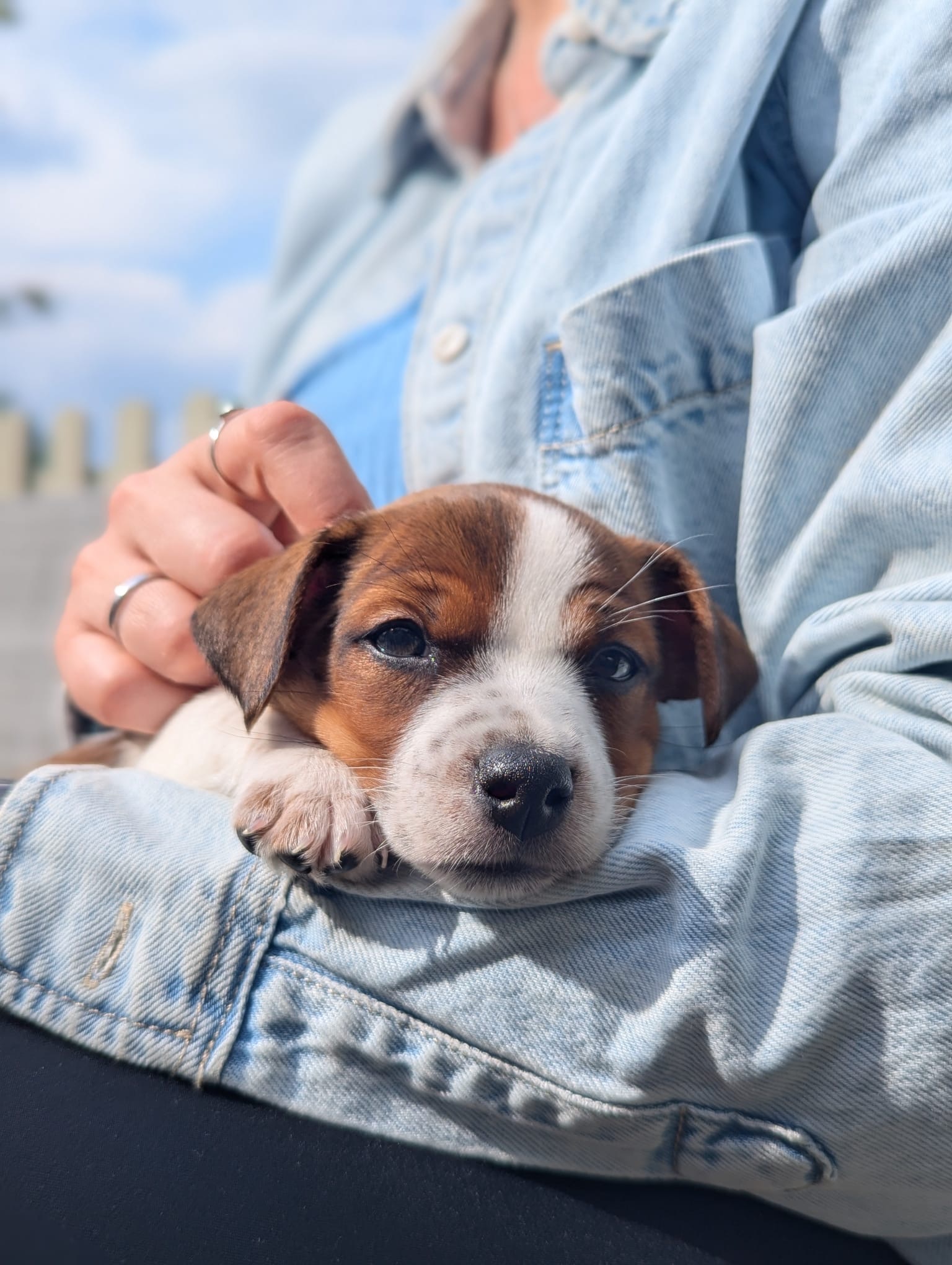 What Tex is teaching me about my own needs