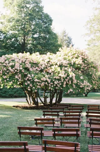 Celebration of Life in Bloom: How to Host a Spring Memorial Gathering with Heart