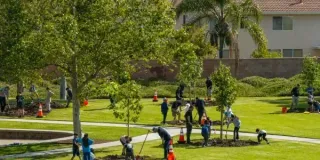 Toll Brothers at Great Park Neighborhoods: A Local's Take