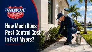How Much Does Pest Control Cost in Fort Myers?
