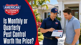 Is Monthly or Quarterly Pest Control Worth the Price?