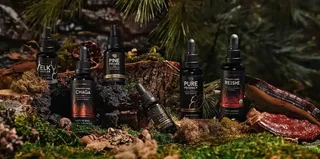 Surthrival Review 2026: Is This Ancestral Supplement Brand Worth It?
