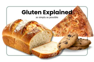 Gluten Explained