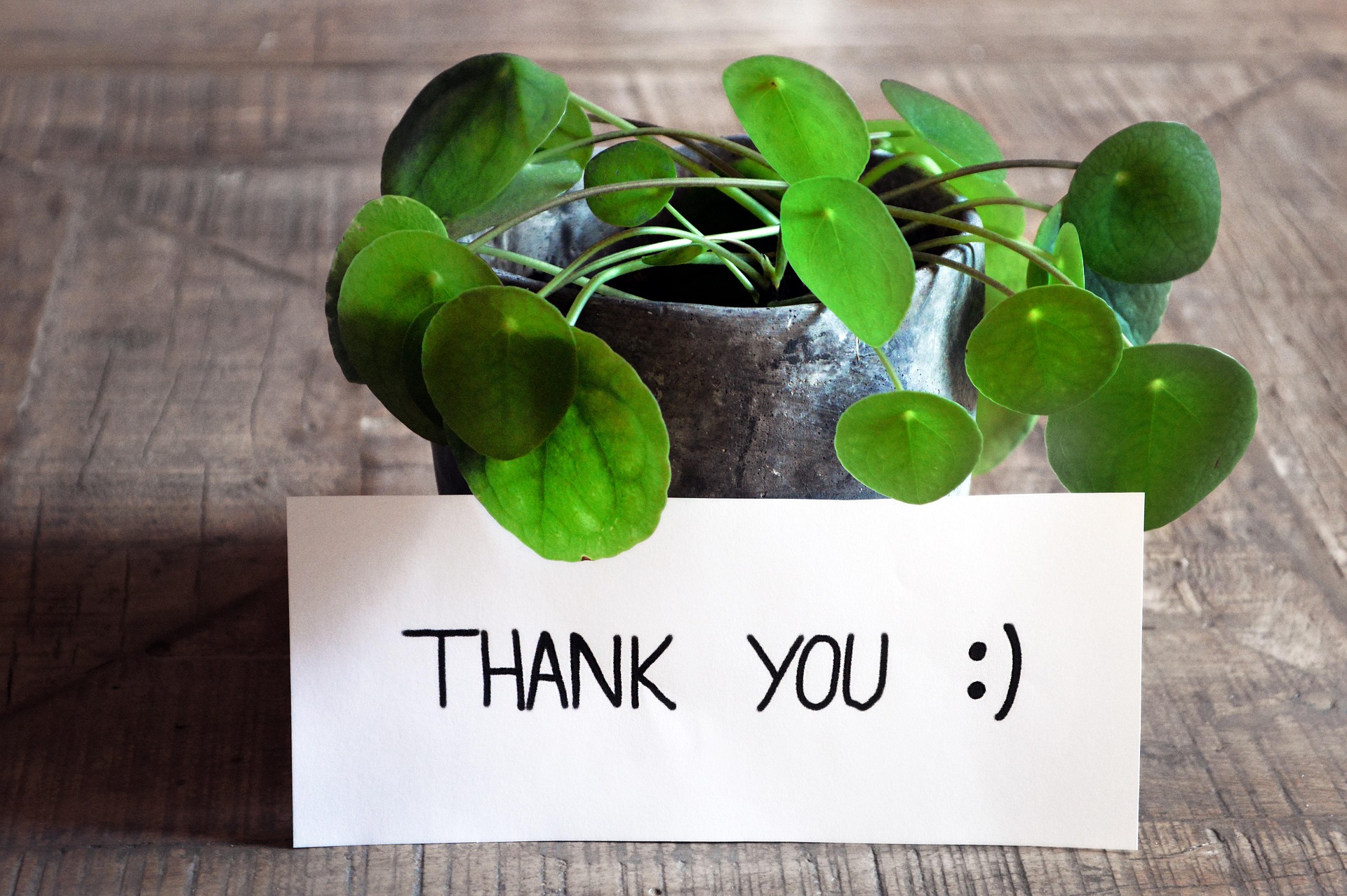 Thank You to Our Staff!
