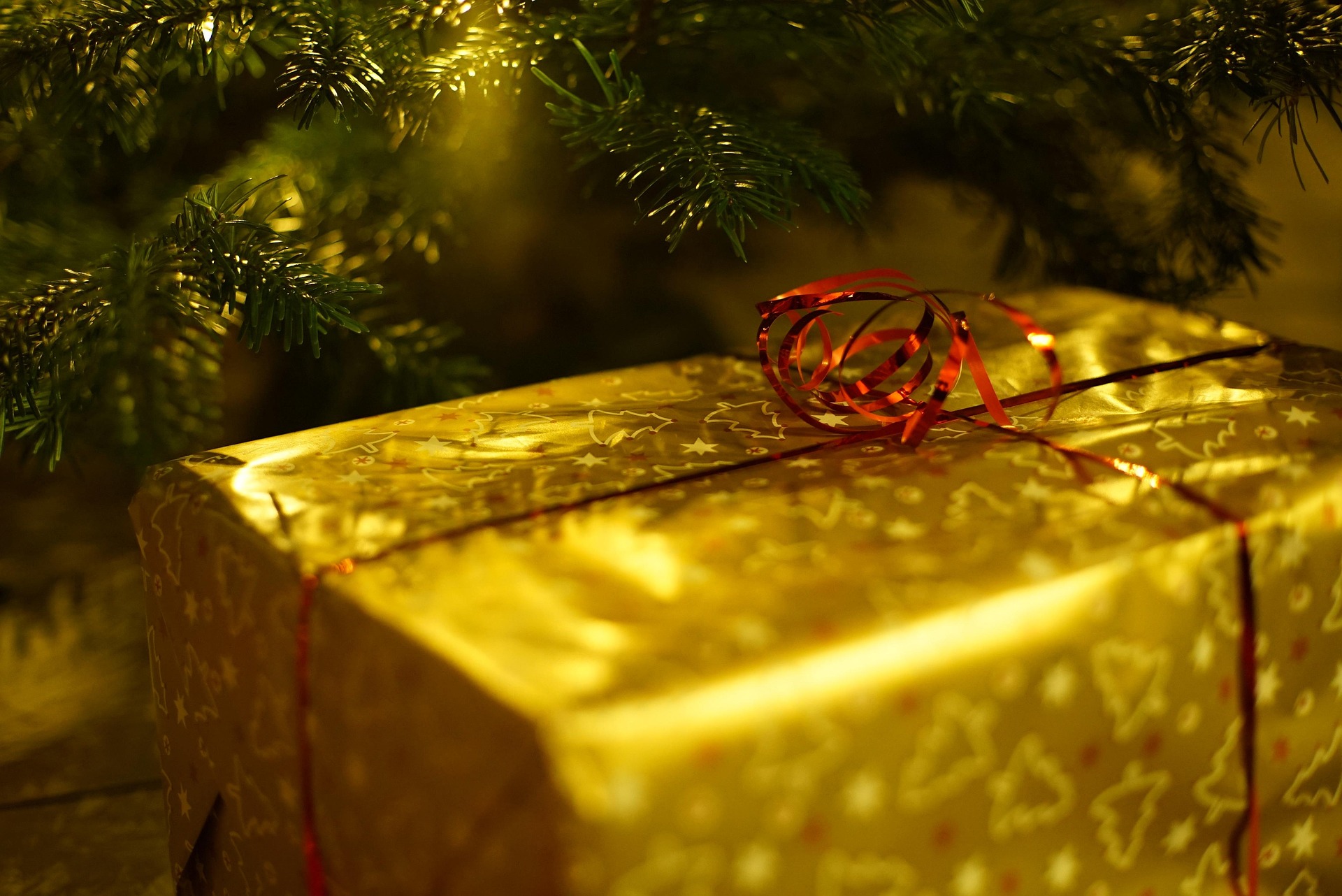 5 Reasons why Metropolis Gift Cards are the perfect gift for Grandkids