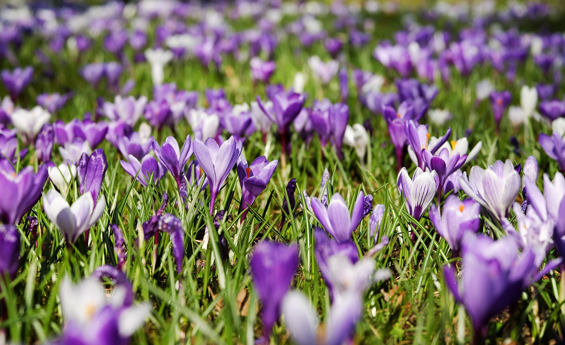 Top 10 Things to Do in Wisconsin: Spring Edition