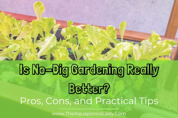 Is No-Dig Gardening Really Better? Pros, Cons, and Practical Tips