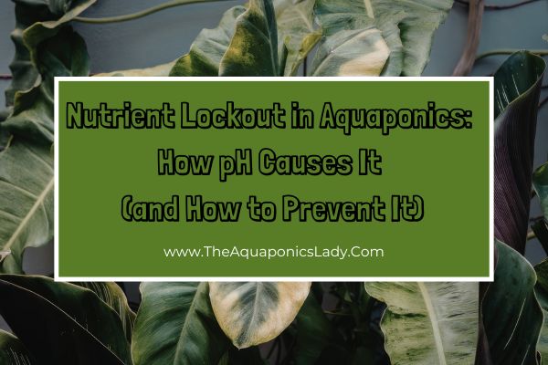 Nutrient Lockout in Aquaponics: How pH Causes It (and How to Prevent It)