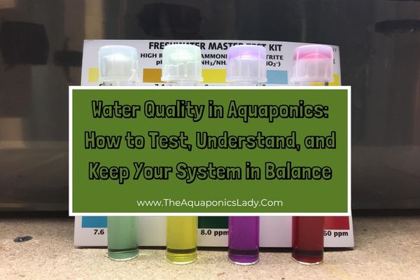 Water Quality in Aquaponics: How to Test, Understand, and Keep Your System in Balance