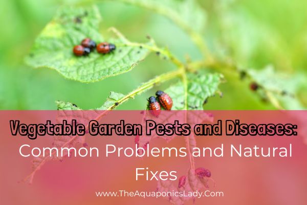 Vegetable Garden Pests and Diseases: Common Problems and Natural Fixes