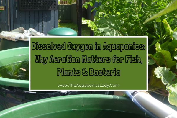 Dissolved Oxygen in Aquaponics: How to Prevent Oxygen Crashes