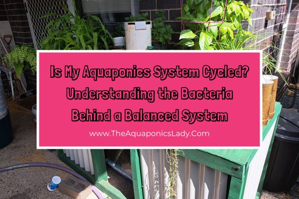 Is My Aquaponics System Cycled? Understanding the Bacteria Behind a Balanced System