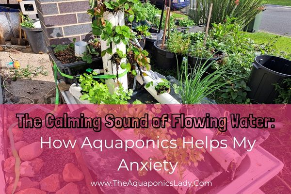 The Calming Sound of Flowing Water: How Aquaponics Helps My Anxiety