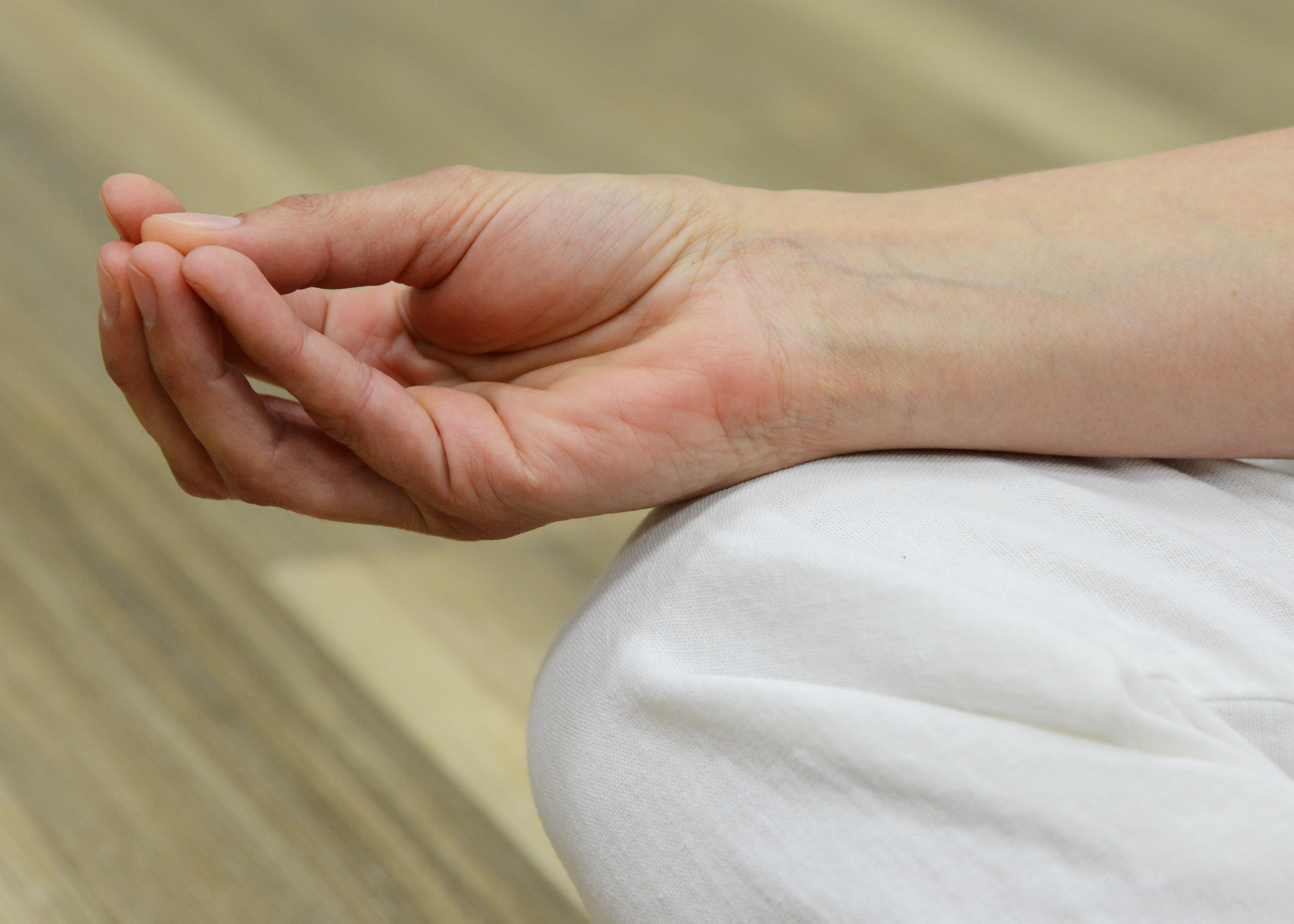 Learn to Meditate