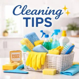 How to Clean a Refrigerator Like a Professional Cleaner