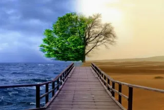 Your Environment Is Rewiring You Every Day