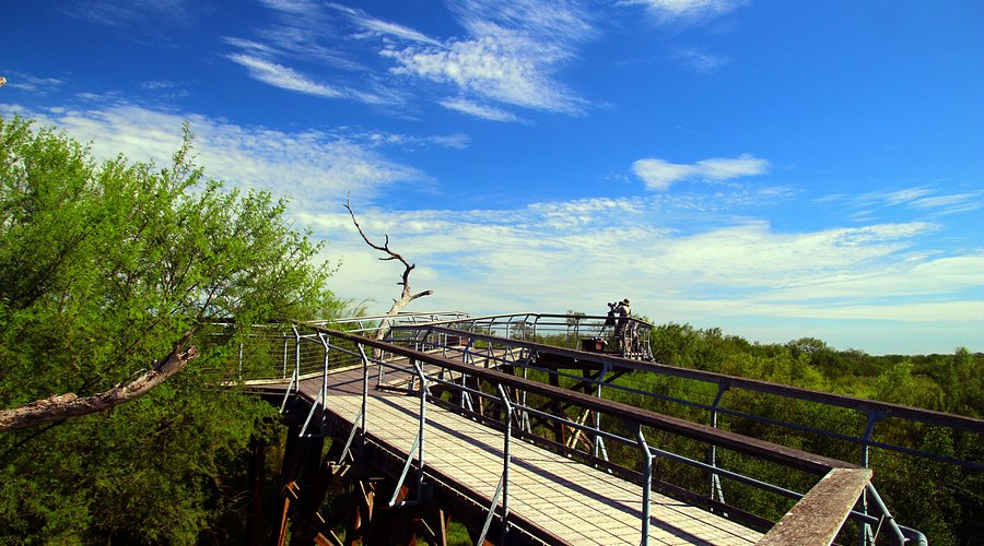 🌿 Explore Bentsen-Rio Grande Valley State Park in Mission, TX – Nature, Wildlife & Pure Texas Vibes
