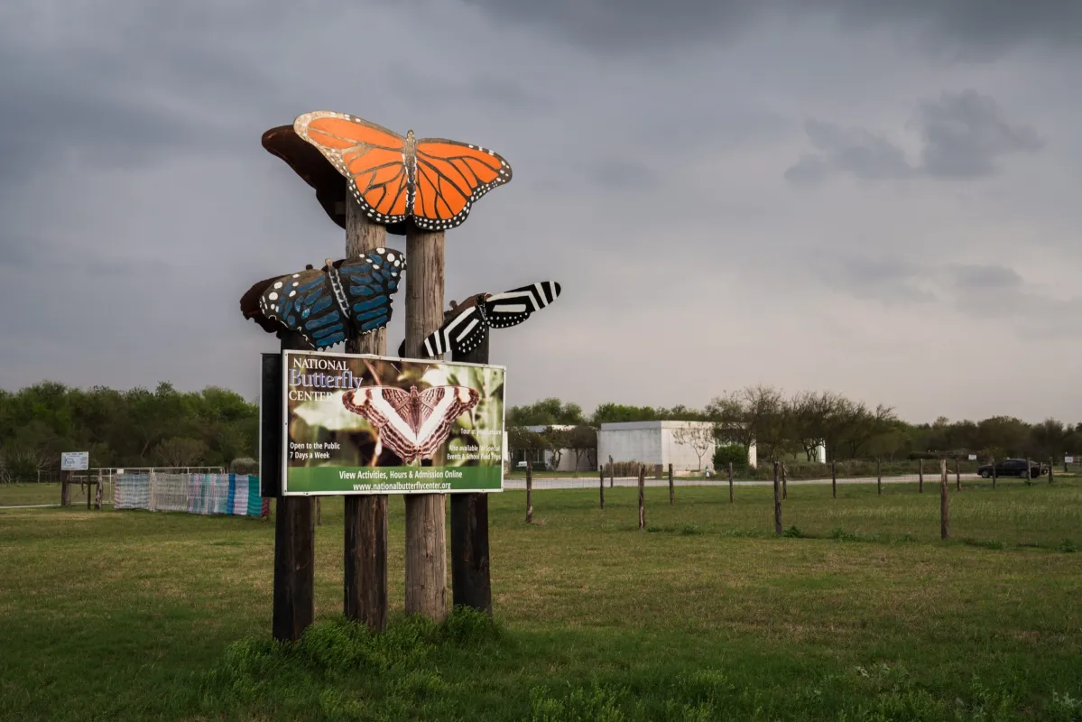 🦋 National Butterfly Center in Mission, TX – A Hidden Tropical Escape You Have to See!
