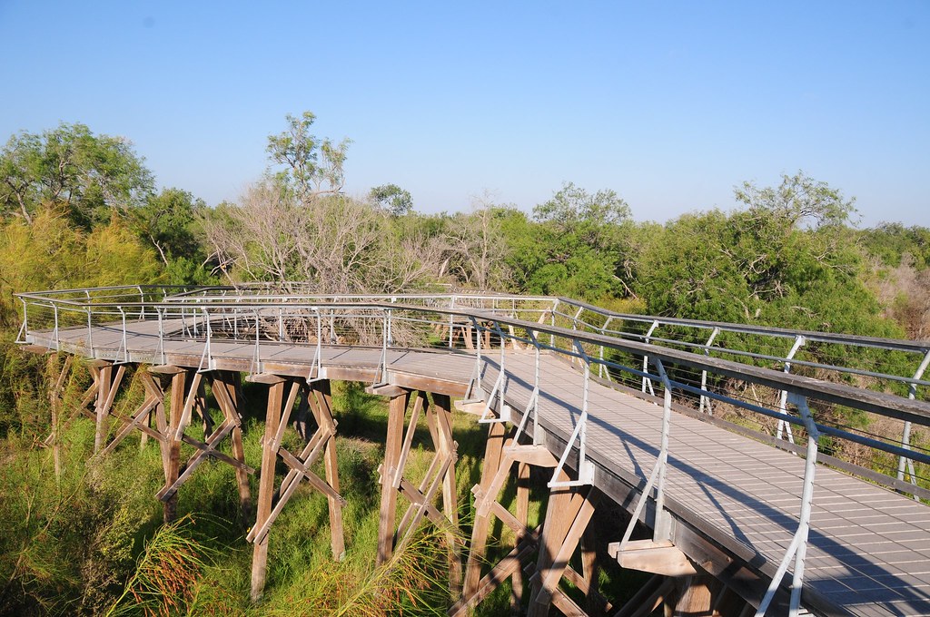 Bentsen-Rio Grande Valley State Park: A Wild Mission, TX Escape Worth Exploring