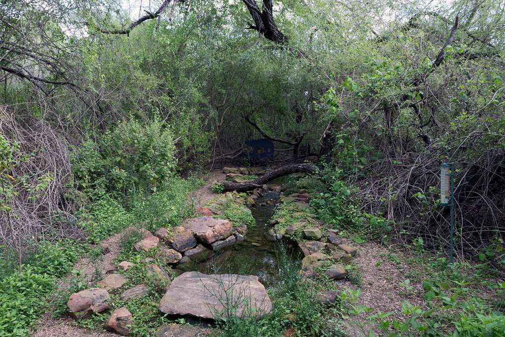 Discover McAllen Nature Center: An Easy Outdoor Escape in McAllen, TX