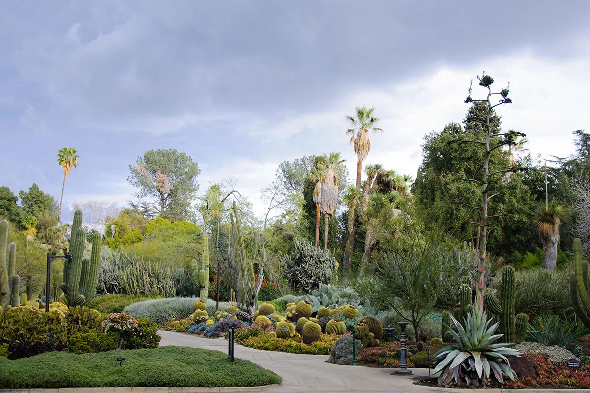 🌳 Zinnia Park in McAllen, TX: A Family-Friendly Outdoor Escape for Any Day