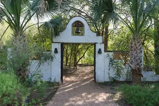 Discover McAllen’s Wild Side at Quinta Mazatlan World Birding Center 🌿