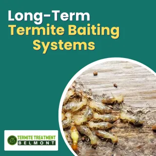 Effective Termite Baiting Systems for Long-Term Protection