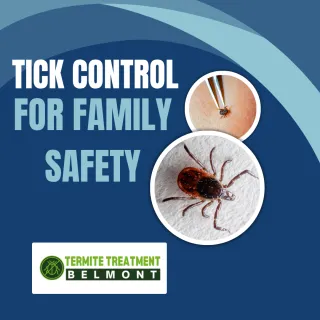 Tick Control Services to Keep Your Family and Pets Safe