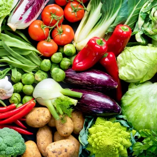 What You Eat & What You See