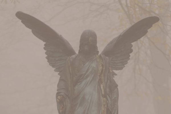 The 5 Pillars of  A Deep Feminine Heart