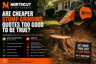 Are Cheaper Stump Grinding Quotes Too Good to Be True?
