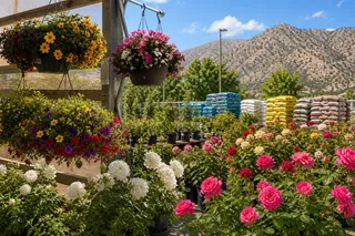 Mother's Day Flowers & Gifts in the Kern River Valley