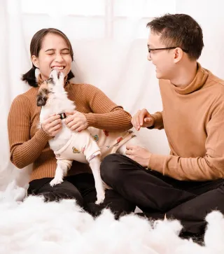 The "Pet Tax": How to Keep a Luxury Home Spotless With Dogs and Cats