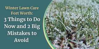 Winter Lawn Care Fort Worth: 3 Things to Do Now and 2 Big Mistakes to Avoid