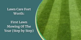 Lawn Care Fort Worth: First Lawn Mowing Of The Year (Step by Step)