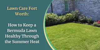 Lawn Care Fort Worth: How to Keep a Bermuda Lawn Healthy Through the Summer Heat
