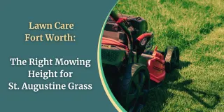 Lawn Care Fort Worth: The Right Mowing Height for St. Augustine Grass
