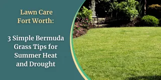 Lawn Care Fort Worth: 3 Simple Bermuda Grass Tips for Summer Heat and Drought